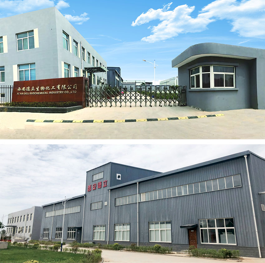 Xi'an Deli Biochemical Industry Co., Ltd.: Innovation principale dans les dérivés de cyclodextrine, autonomisant l'industrie pharmaceutique