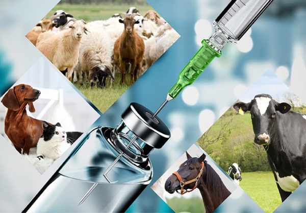 Amélioration des médicaments vétérinaires avec hydroxypropyl betadex